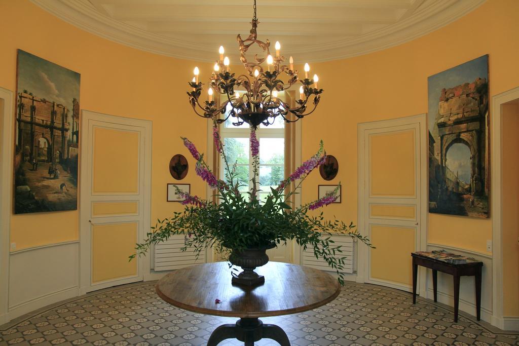 Chateau De La Marronniere Aizenay Eksteriør billede